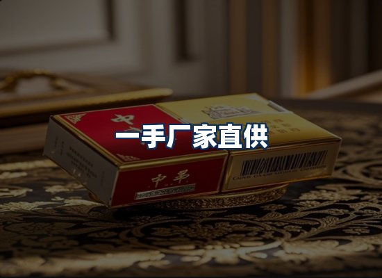 专业团队办公环境